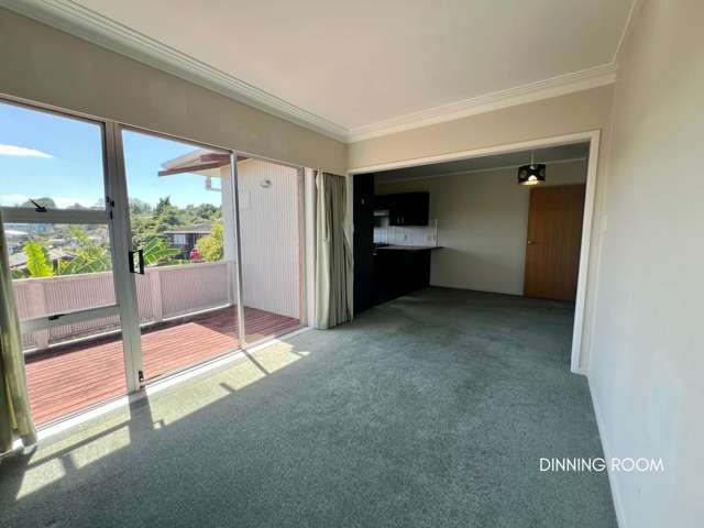 43 John Davis Road Mt Roskill_3