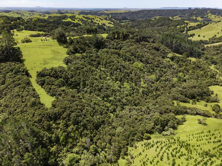 770 Fisher-Riley Road Kaingaroa_9