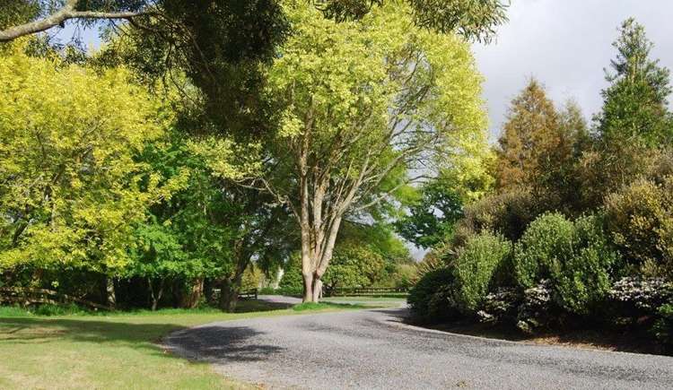 123d Newell Road Tamahere_11