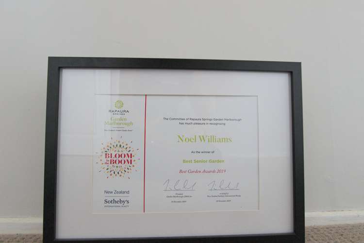 50 Howick Road Redwoodtown_13