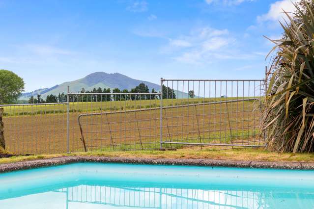 898 Ormsby Road Puketotara_4