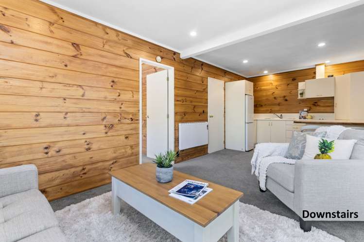 9 Solly Place Springfield_17