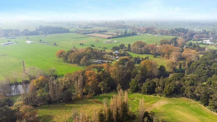 81D Horrell Road Morrinsville_28
