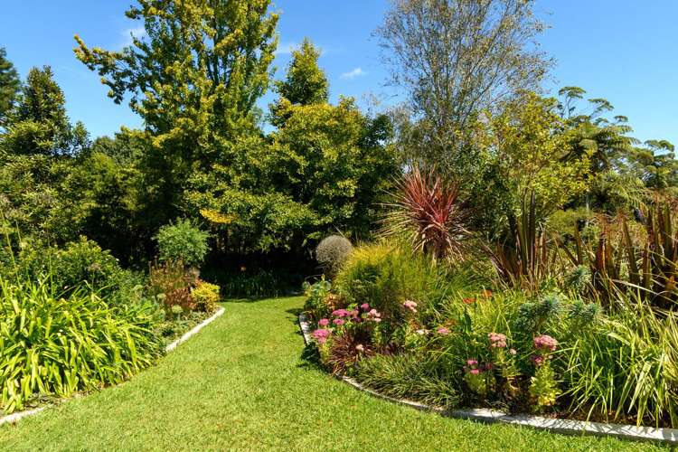 480B Youngson Road Whakamarama_27