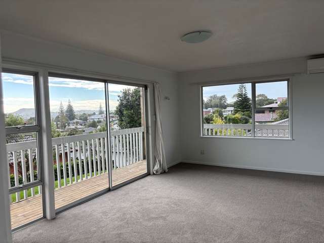 115 Udys Road Pakuranga_3