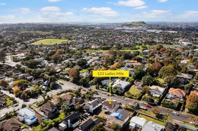 123 Ladies Mile Ellerslie_19