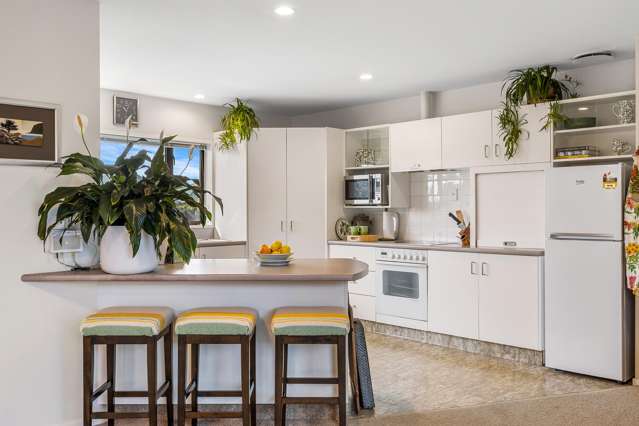 217 White Street Rangiora_3