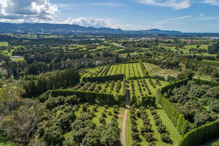 44 Walker Road West Aongatete_24