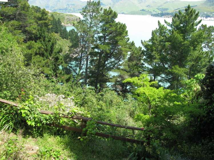 5 Whero Avenue Diamond Harbour_10