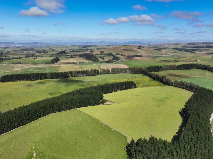 125 Tomogalak Road Ardlussa_1