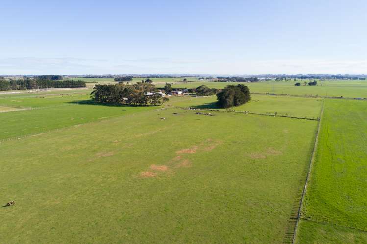 50 Nannestads Line Bunnythorpe_13