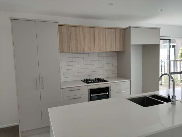 3 Tattler Road Flat Bush_2