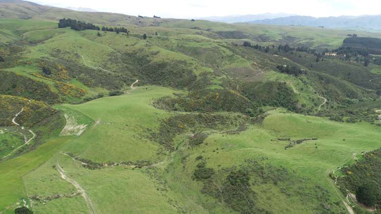 86 West Maerewhenua Road North Otago Surrounds_5