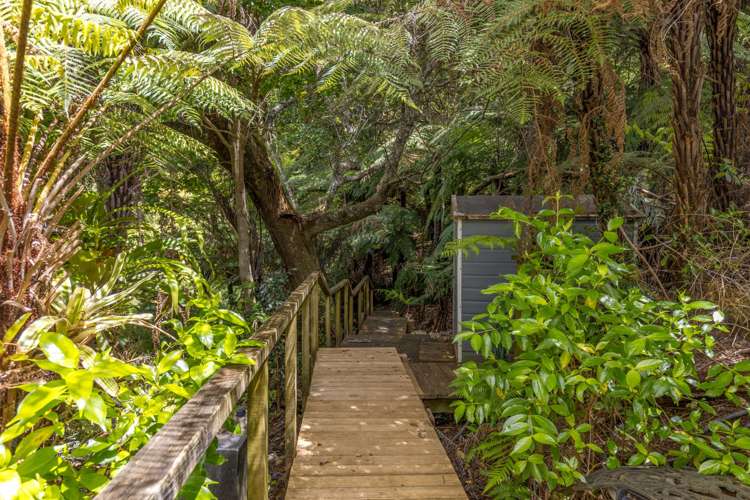 - Lot 101 DP 4961, North Cove Kawau Island_20