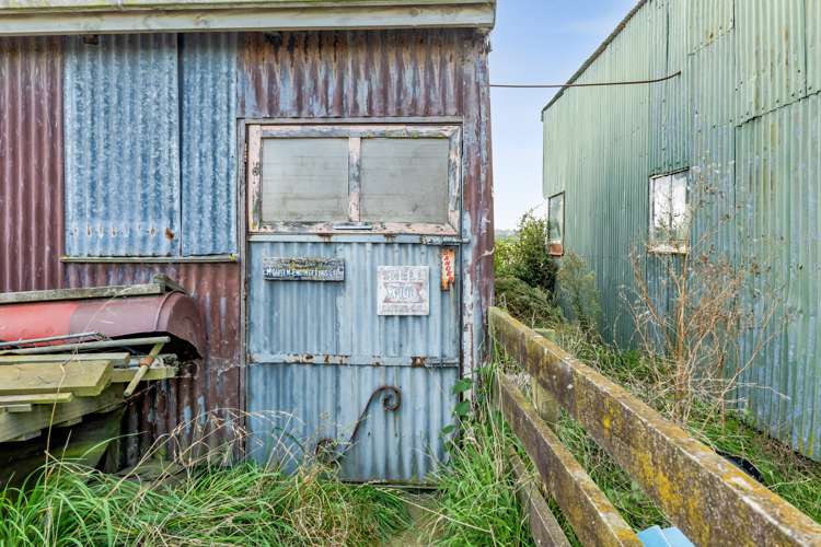 Whakamara Road Hawera_21