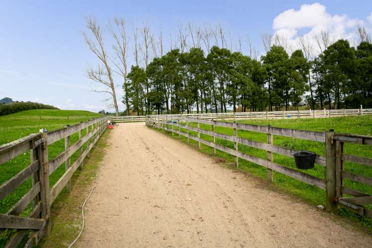 1032 Tauwhare Road Tauwhare_23