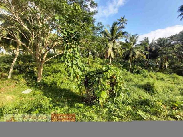 Address withheld Savusavu_2