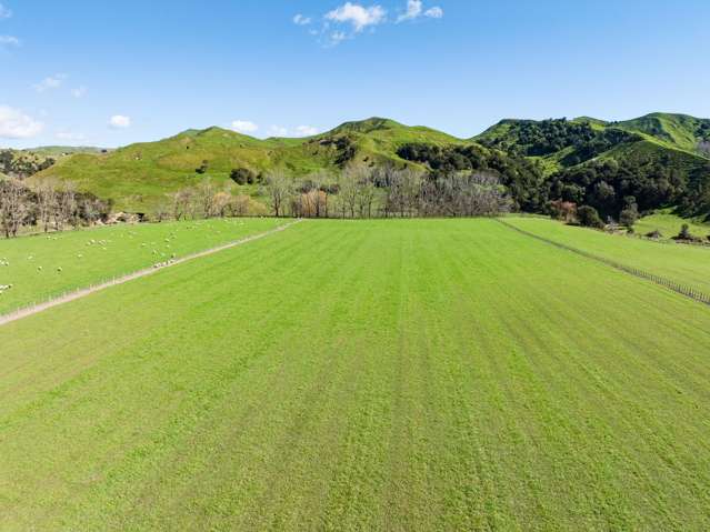 Lots 1 and 2 DP 428308 - Wharerata Road Muriwai_4