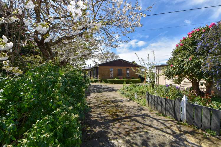 8 Davy Street Carterton_22