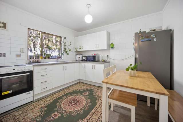 MT ALBERT GRAMMAR ZONE - TRAIN AT YOUR DOOR