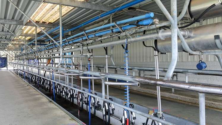 364 Burnand Road Manunui_7