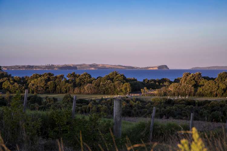 45 Bounty Road Long Bay_19