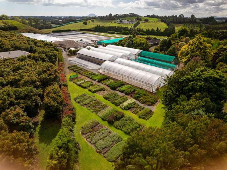 389 Old Highway Whakamarama_30