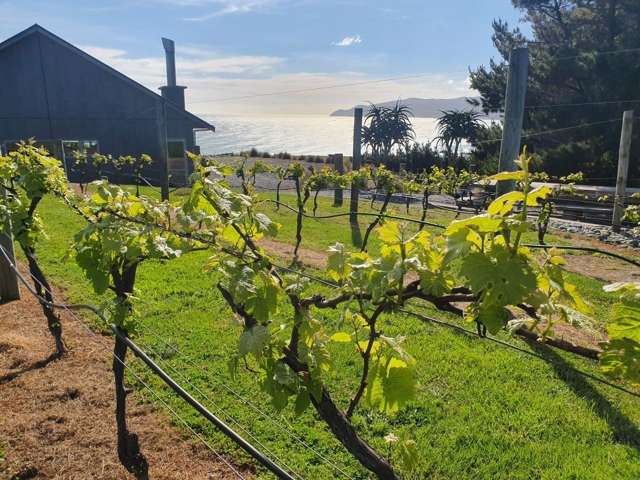 940 Pencarrow Coast Road, Pencarrow Head Lower Hutt_4