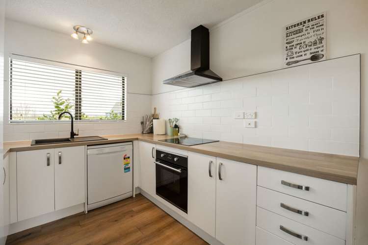 291 Swarbrick Drive Te Awamutu_5