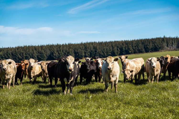 419 Cross Road Dacre_12