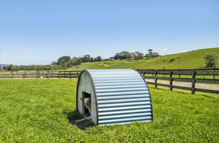 97 Pohangina Road Ashhurst_28