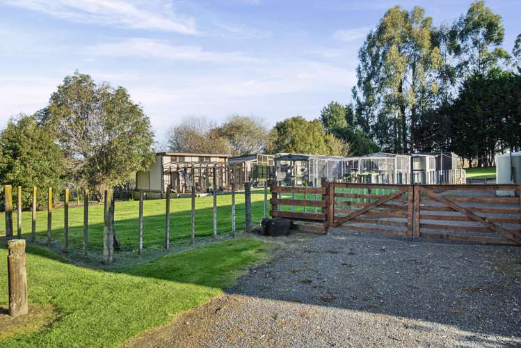554 Apirana Road Horohoro_33