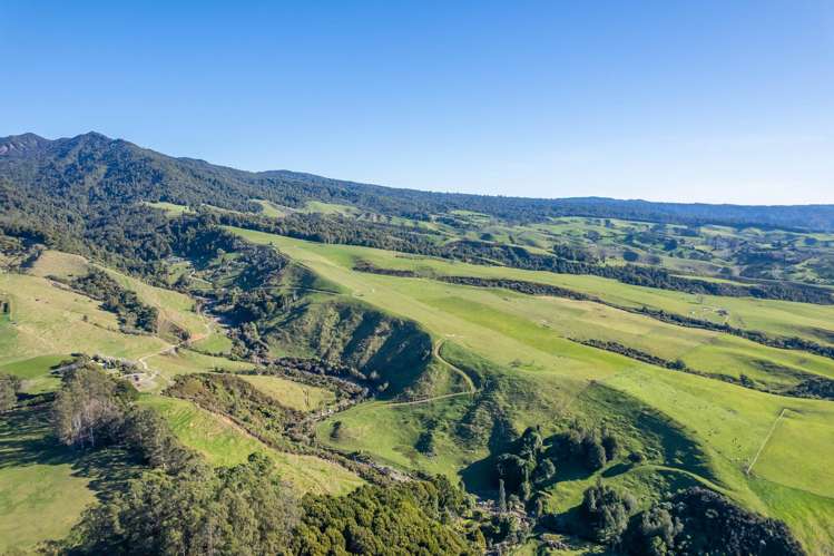 416 Corcoran Road Te Pahu_32