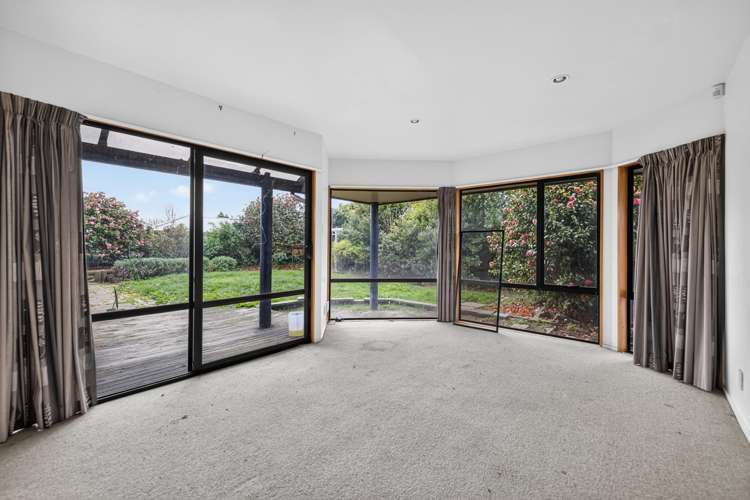 55 Lowry Avenue Redwood_7