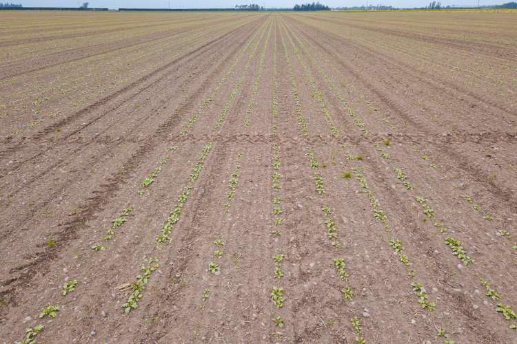 362 Fairfield Road Newland_13