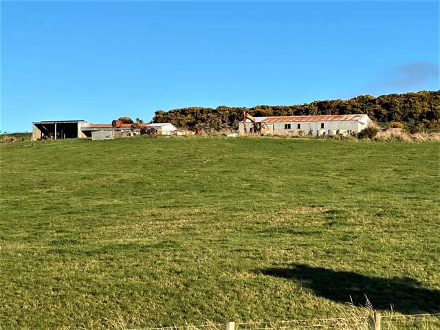 1572 Waimahaka Fortification Road Catlins Surrounds_4