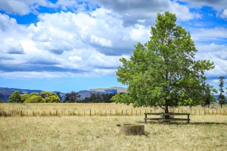 11 Fisher Road Paeroa_18