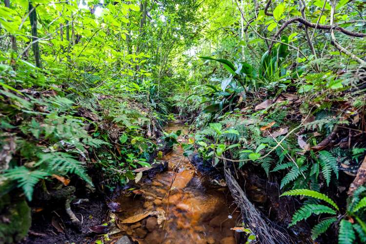 3 High Road Hawera_31