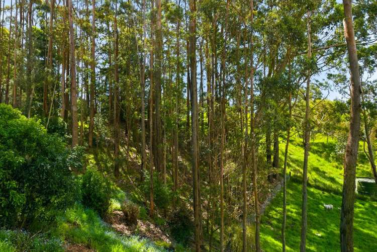 340D Ngarara Road Waikanae_16