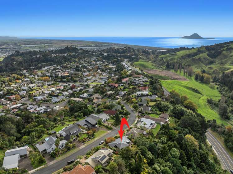 41 Melville Drive Whakatane_23