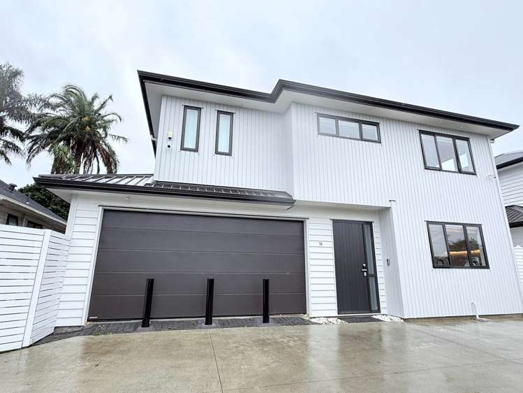 1A Maunder Place New Lynn_0