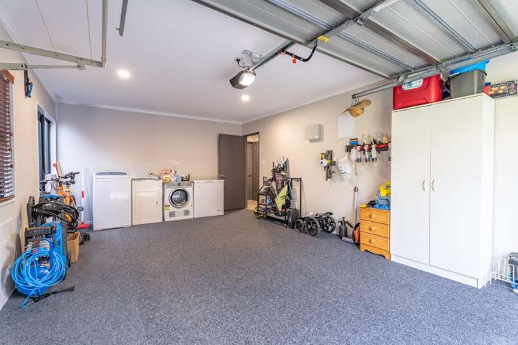19d Edgecumbe Street Whitiora_13