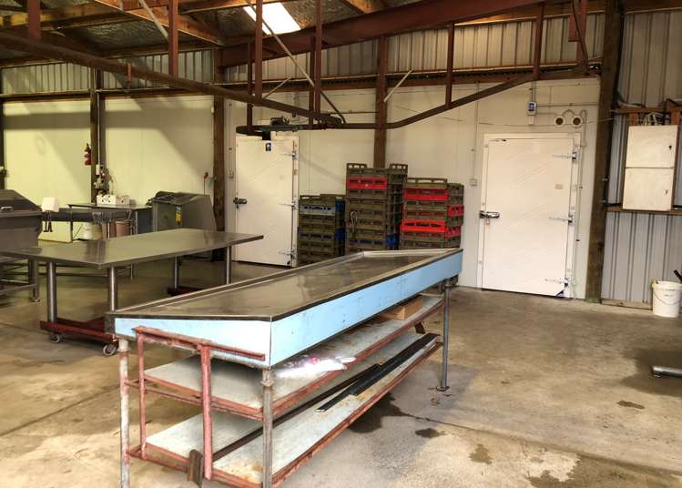 23 Ngutunui Road Puketotara_5