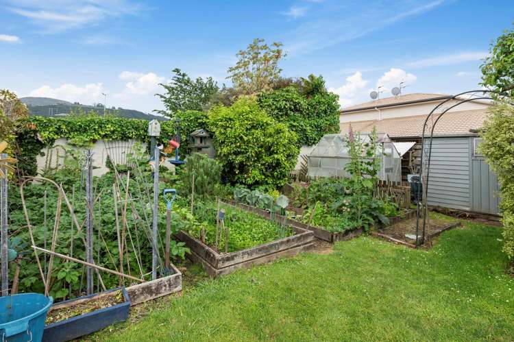 60 Kawaha Point Road Kawaha Point_24