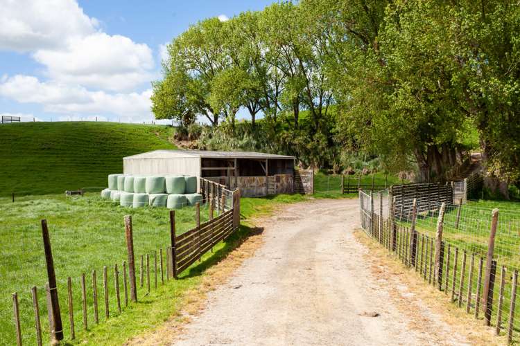 653 Overdale Road Putaruru_16