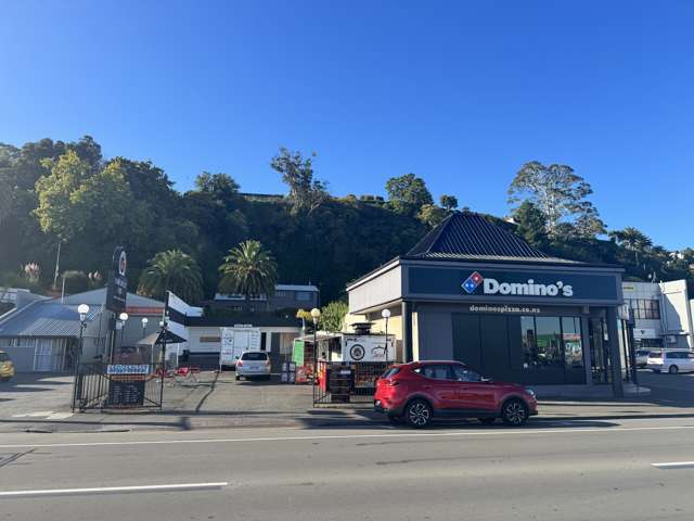 23 Carlyle Street South Napier South_1