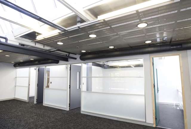 72 Dominion Road Mt Eden_3