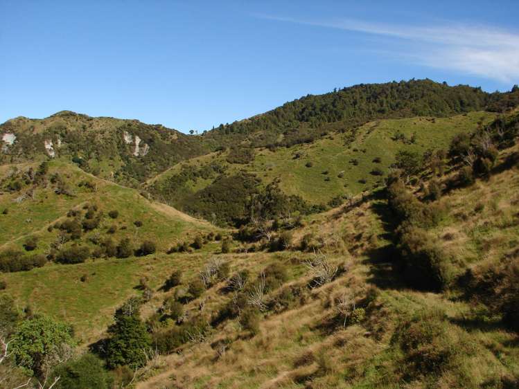 839 Ruatiti Road Raetihi_8