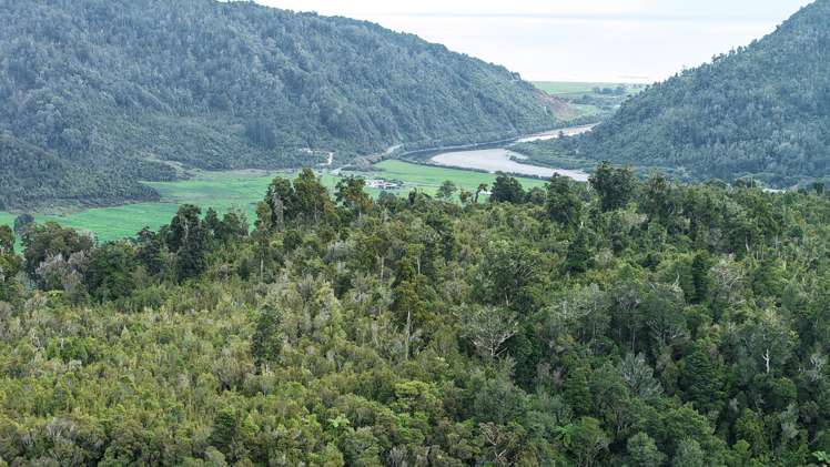 40Ha Block State Highway 67 Mokihinui_31