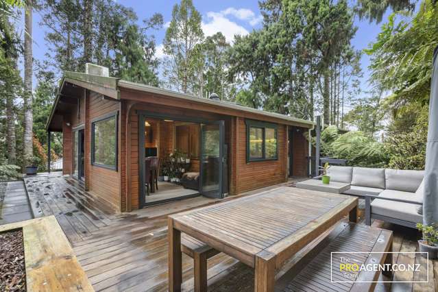 17 Minnehaha Avenue Titirangi_2